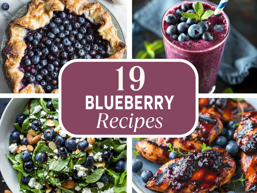 blueberry recipes